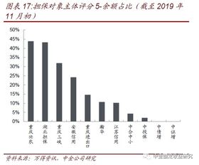 透過(guò)城投和非國(guó)企債擔(dān)保解析擔(dān)保公司 專業(yè)擔(dān)保公司信用風(fēng)險(xiǎn)跟蹤 一