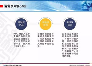 會(huì)后分享2018年金融擔(dān)保行業(yè)信用風(fēng)險(xiǎn)展望